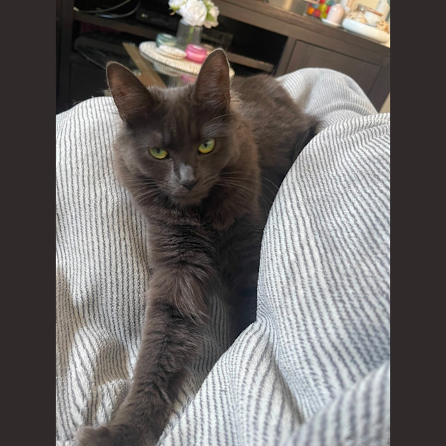 Photo of Hazel