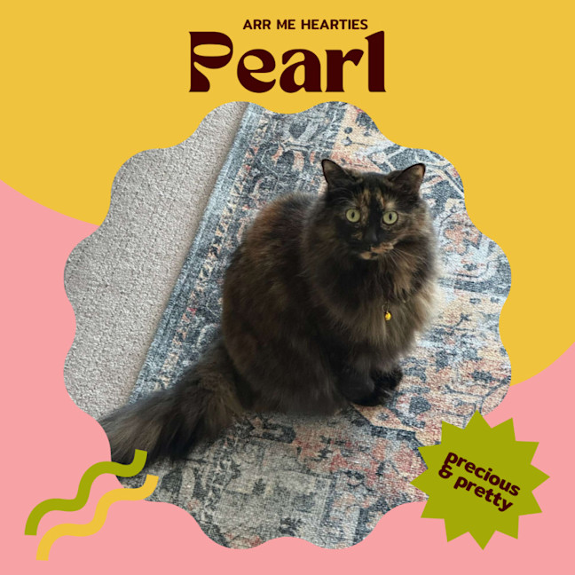 Photo of 🏴‍☠️ Pearl & Pirate 🏴‍☠️