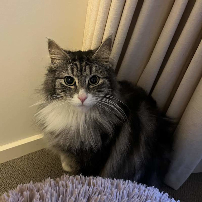 Photo of Hamish