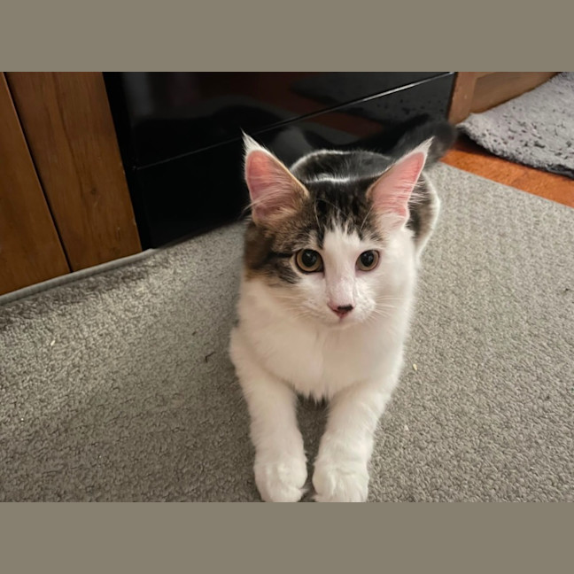 Photo of Hallie