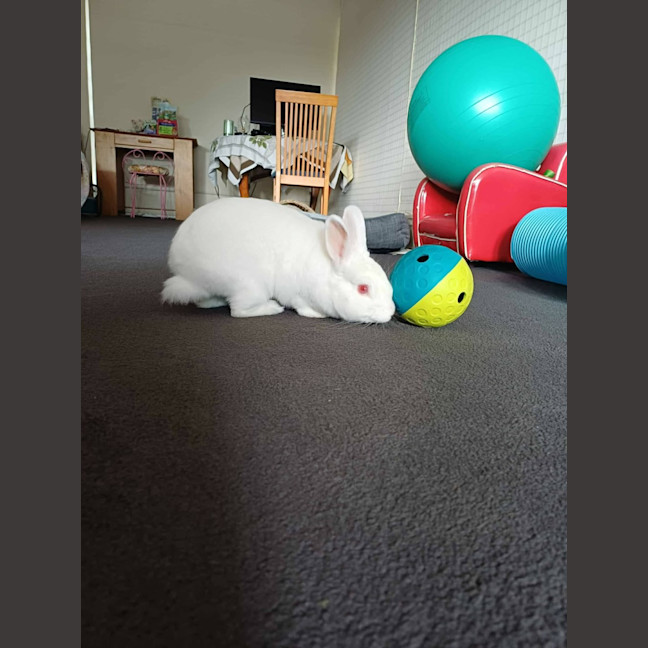 Photo of Bertha
