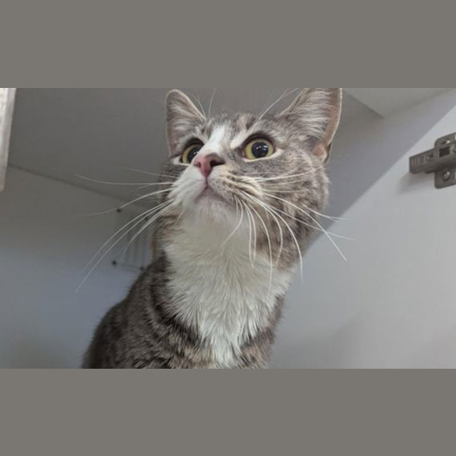 Photo of Sally