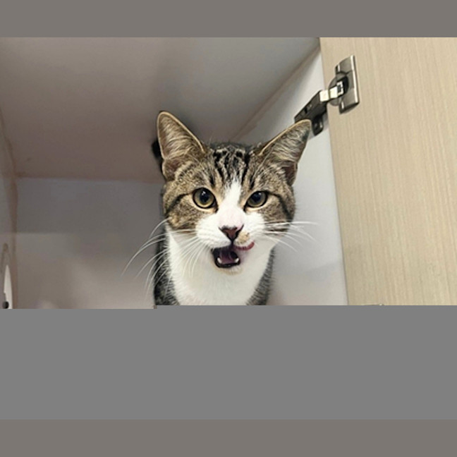 Photo of Jacko