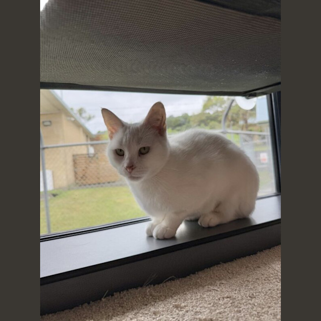 Photo of Crystal