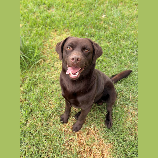 Photo of Romeo