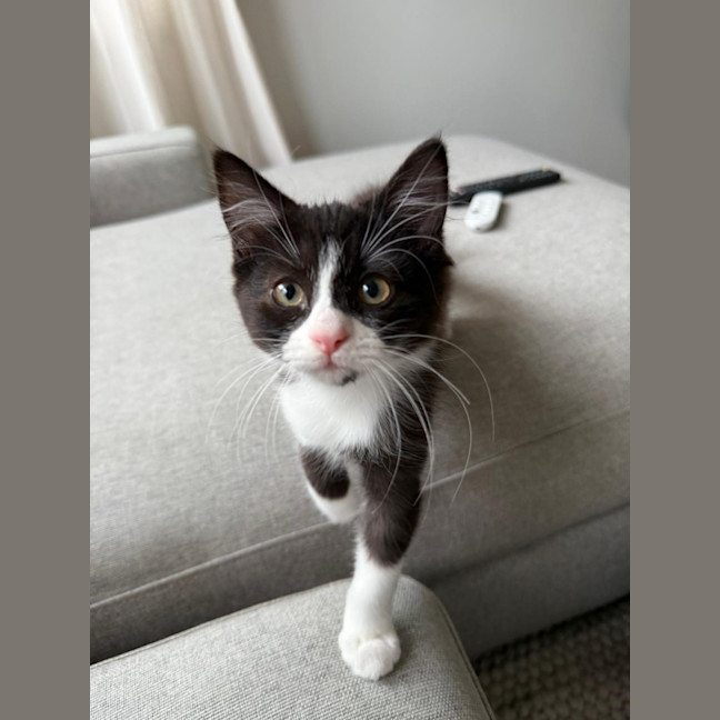 Photo of Andre And Gabby