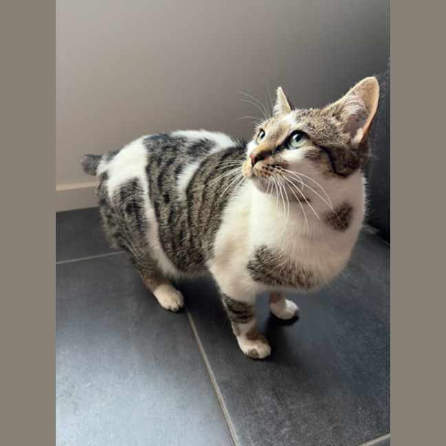 Photo of Betty