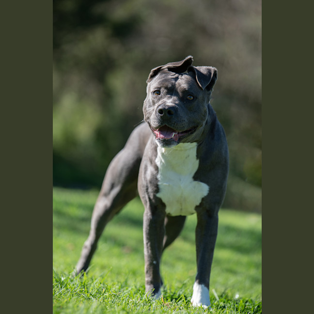 Photo of Ghost