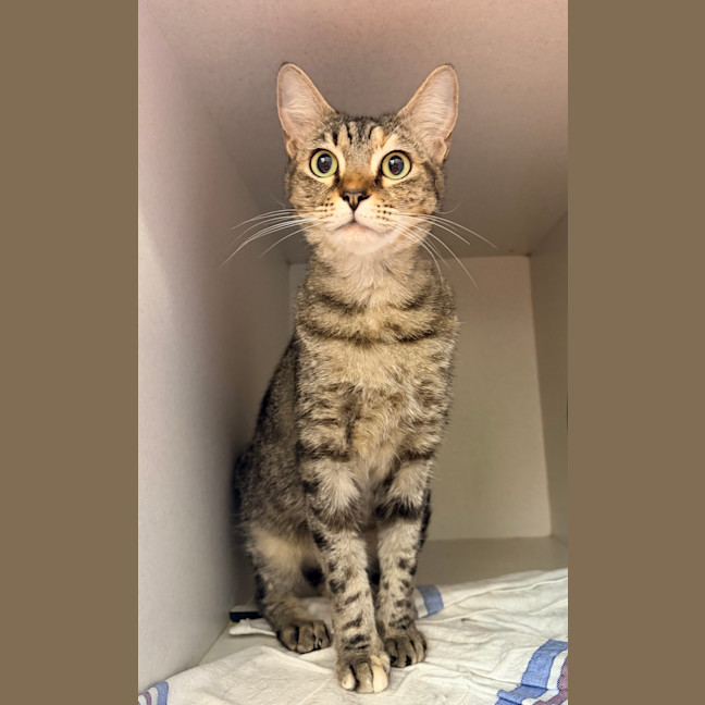 Photo of Alice