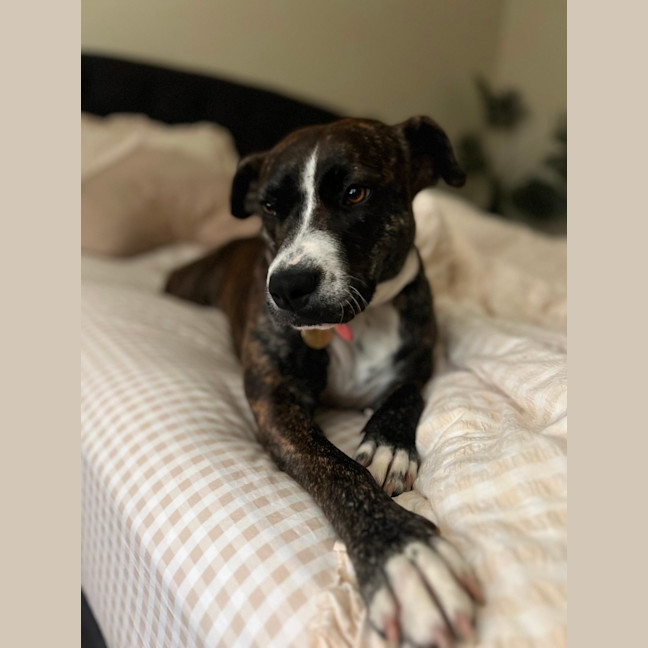 Photo of Darcee Cameron