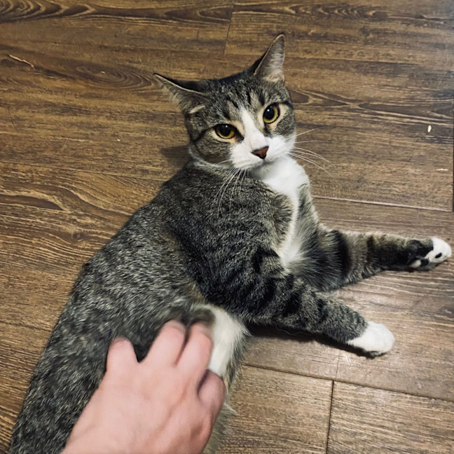 Photo of Ruby