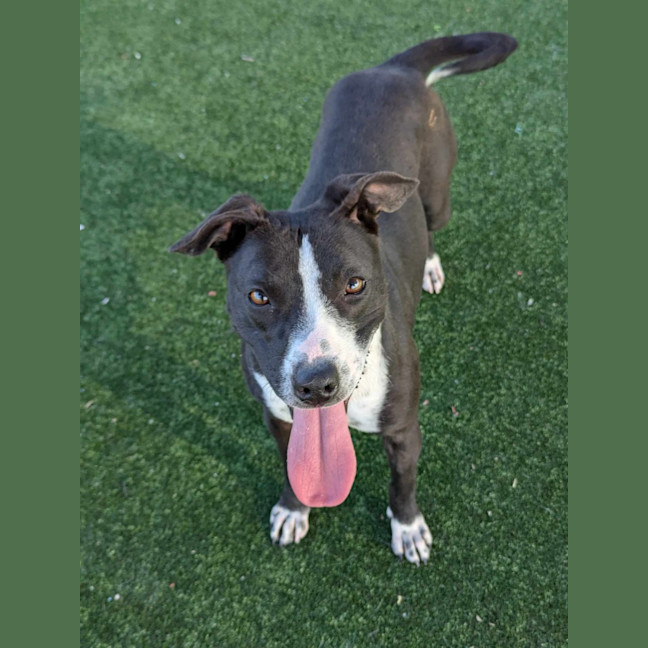 Photo of Nelly Imp 1404