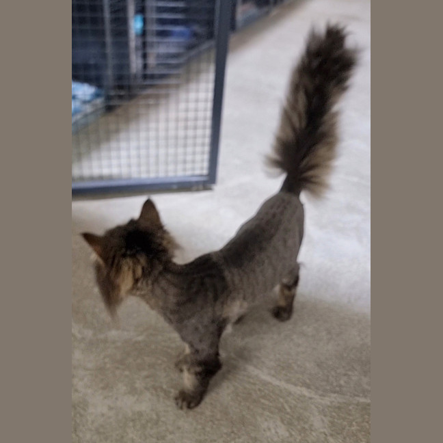 Photo of Kit