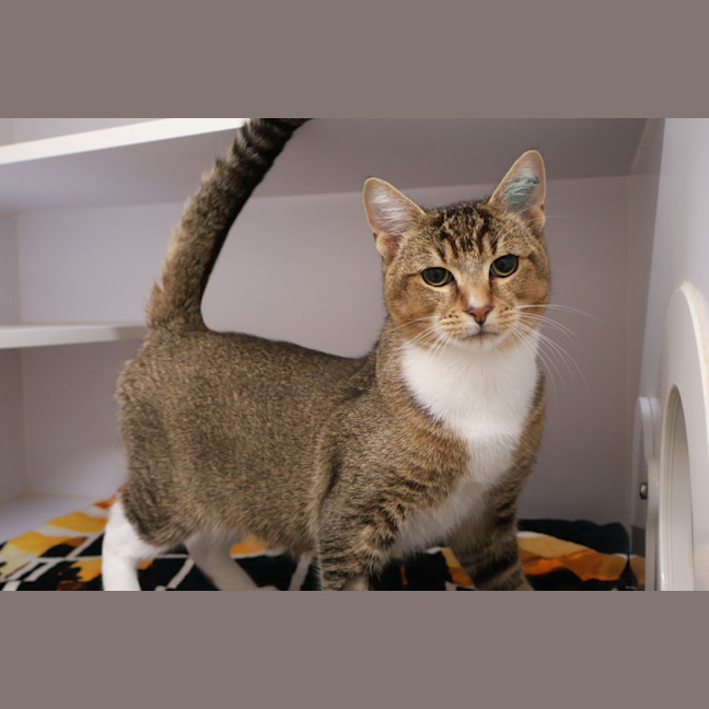 Photo of Floyd