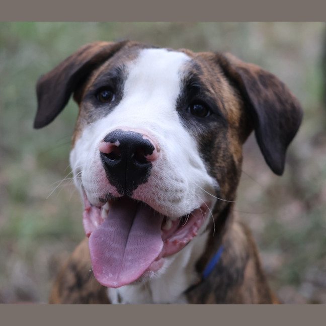 Photo of Bingo