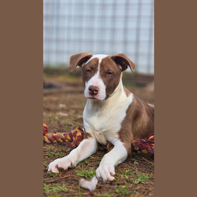 Photo of Twist