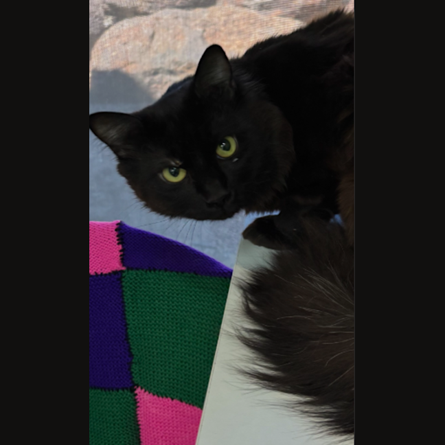 Photo of Richard  The Lionheart