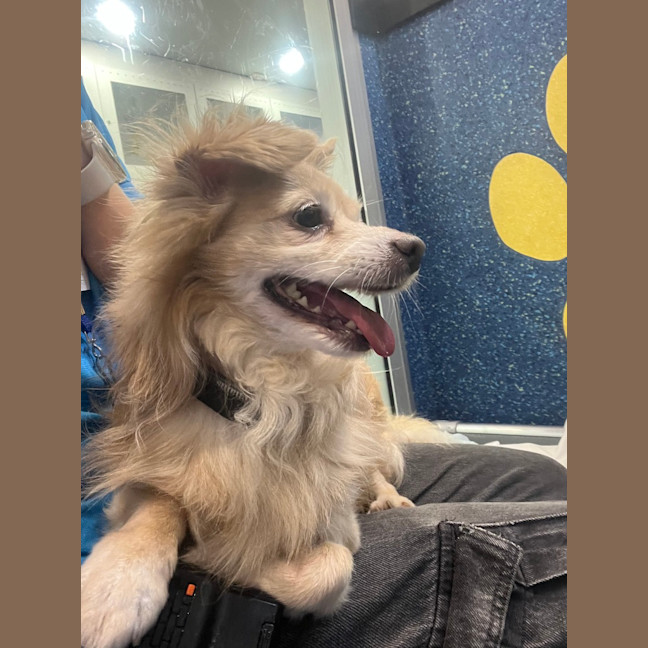 Photo of Frankie