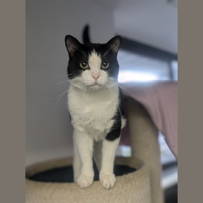 Photo of Moo 