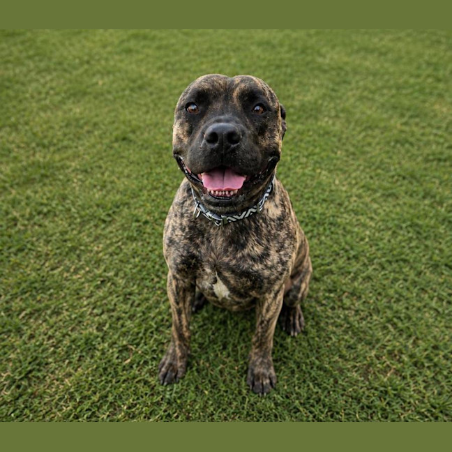 Photo of Tyson