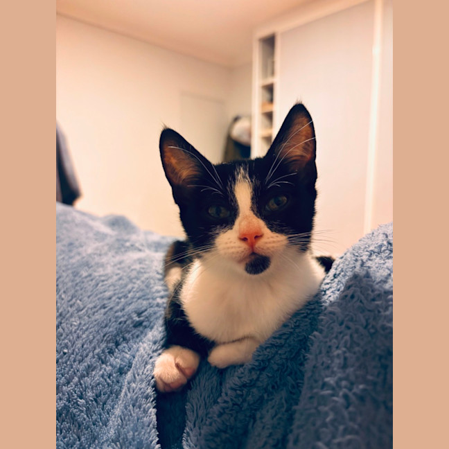 Photo of Ivy