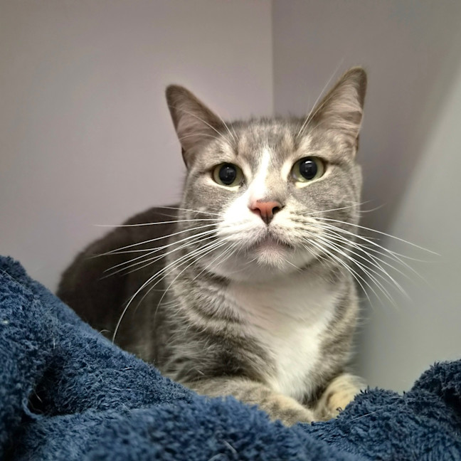 Photo of Jasper