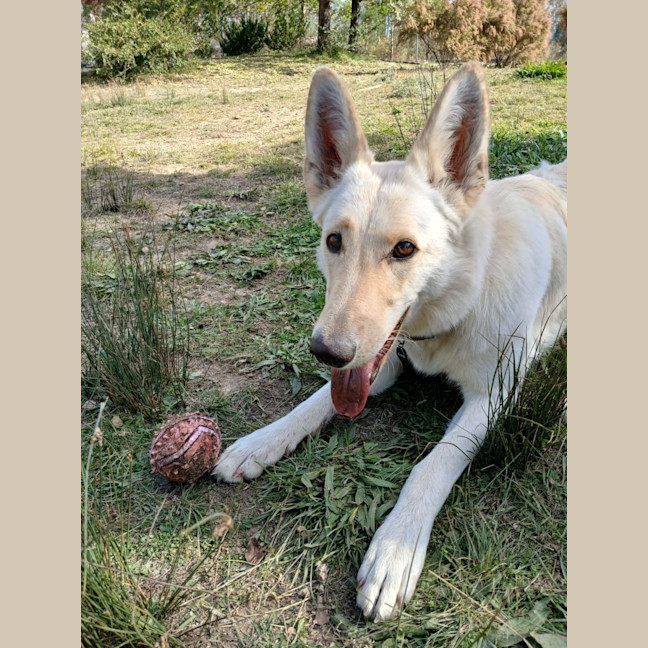 Photo of Princess