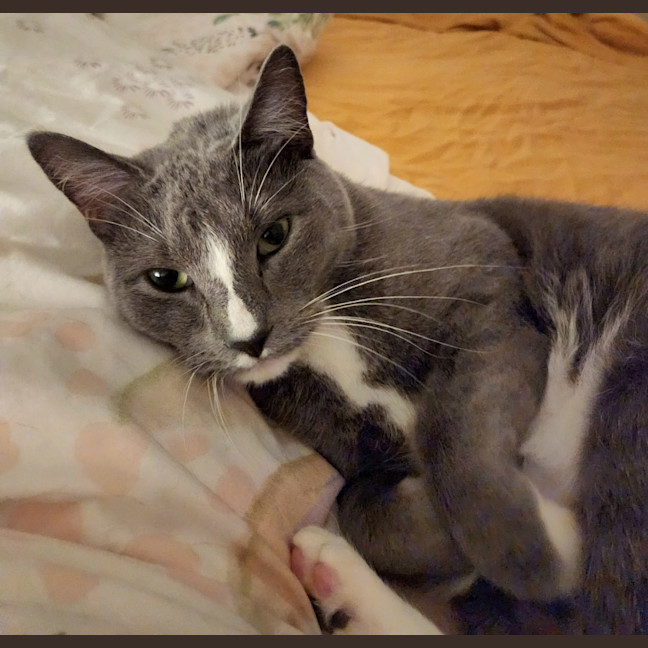 Photo of Still Water 