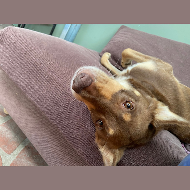 Photo of Maya