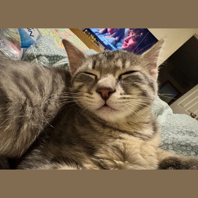 Photo of Freddie Aka Freaking Freddie