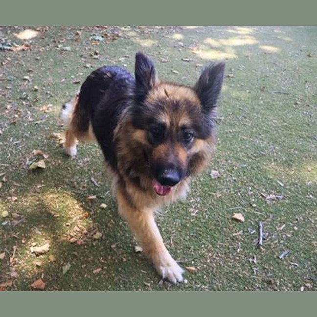 Photo of Lucy