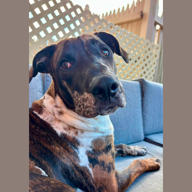 Photo of Barney