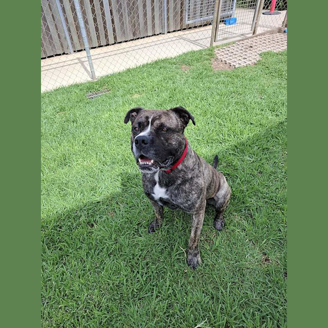Photo of Duke