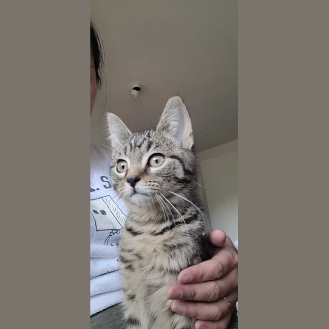 Photo of Polly