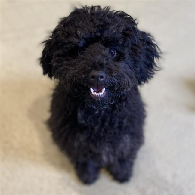Photo of Jeffrey