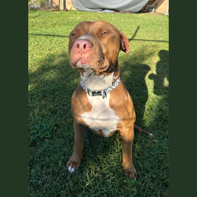 Photo of Boots