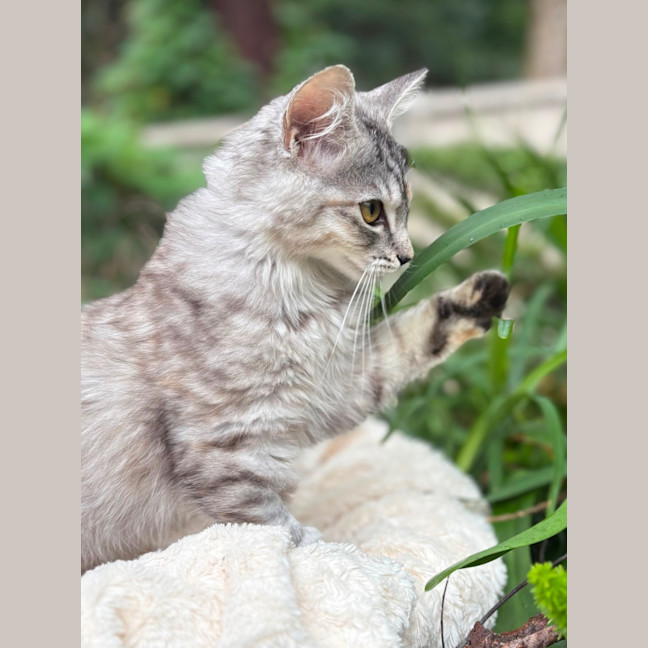 Photo of Saskia 🎁🥰😺🌸