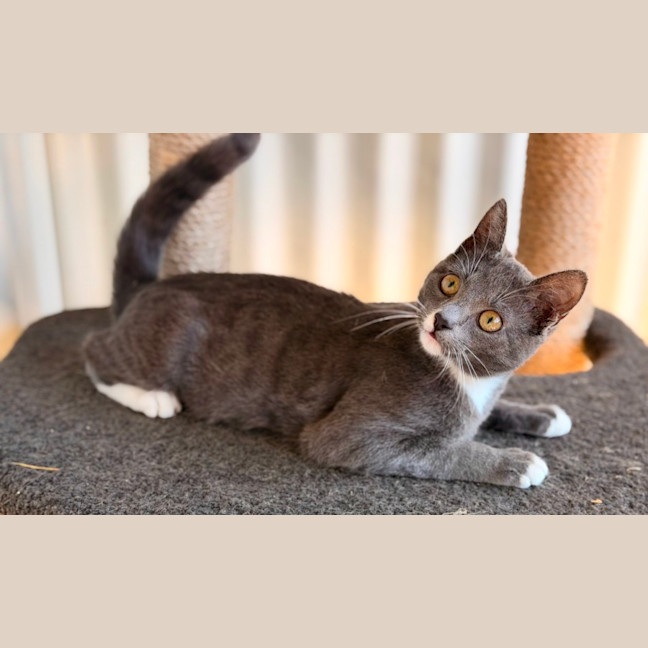 Photo of Nora
