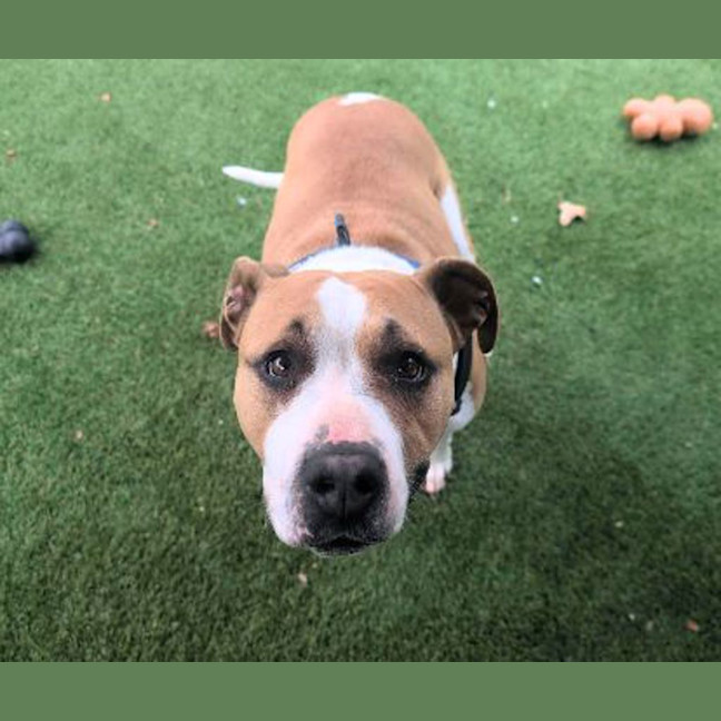 Photo of Roxy