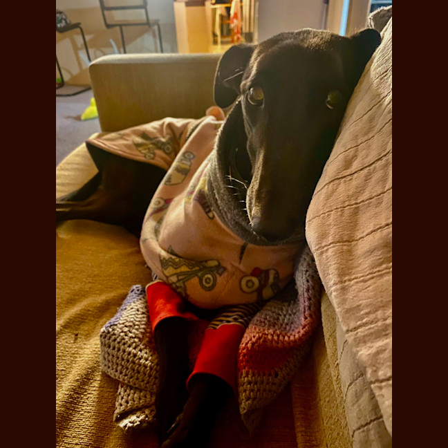 Photo of Izzie