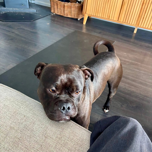 Photo of Rukkus