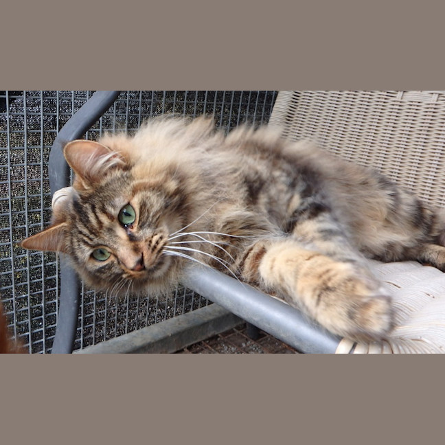 Photo of Fleur And Sky