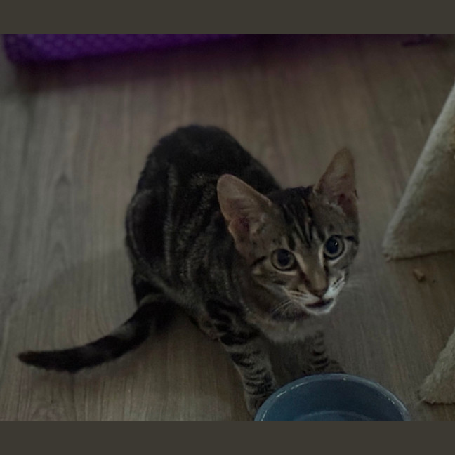 Photo of Sophie 