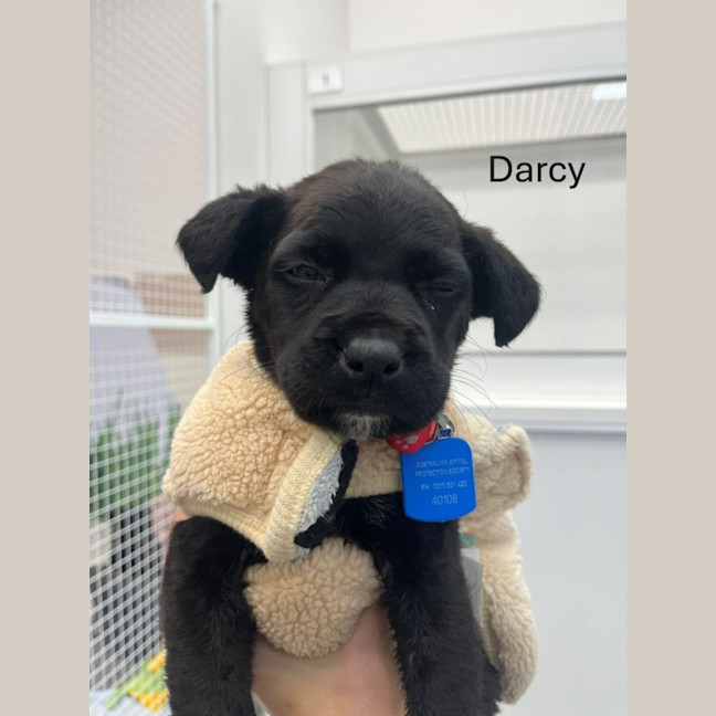 Photo of The Magnificent Seven!