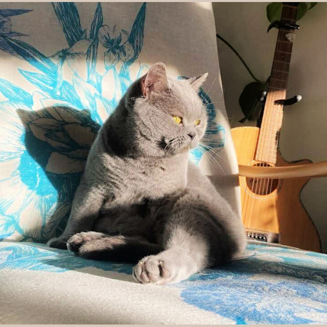 Photo of 🍊Clementine🍊