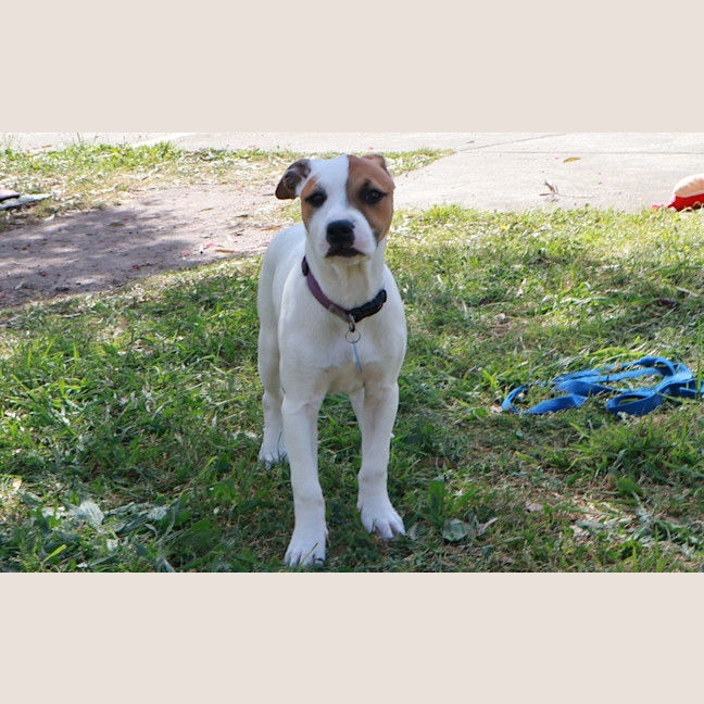 Photo of Sadie