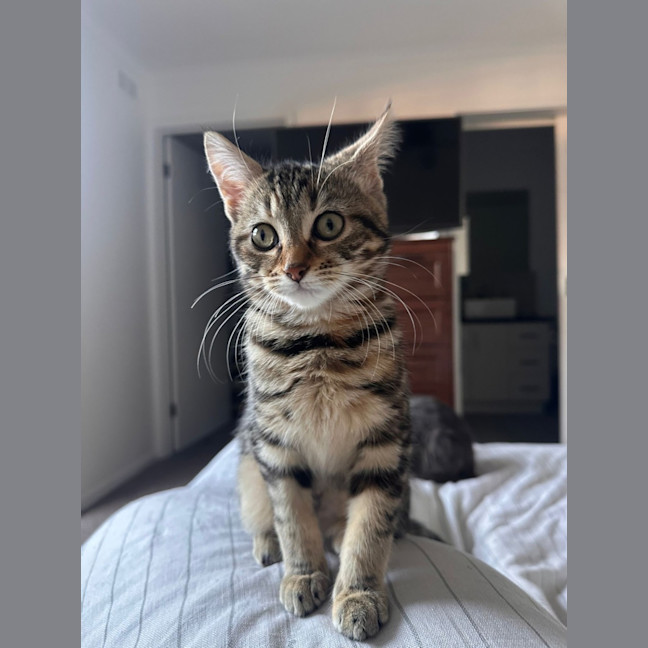 Photo of Delilah