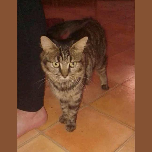 Photo of Nashi (Quinn)