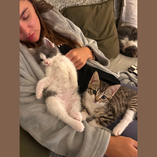 Photo of Albi & Atlas 