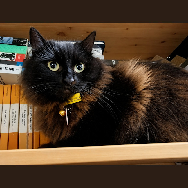 Photo of Maggie